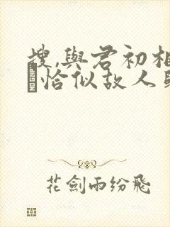 搜,与君初相识·恰似故人归