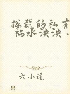 总裁的私有宝贝 祸水泱泱 小说