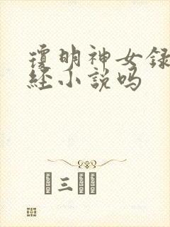 琼明神女录是正经小说吗