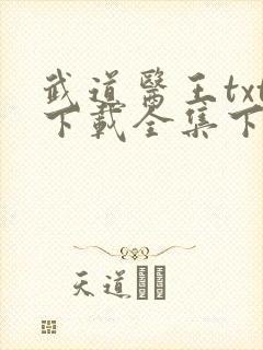 武道医王txt下载全集下载