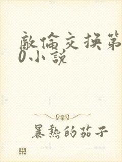 敌伦交换第150小说封面