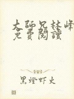 大师兄林峰小说免费阅读