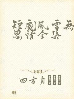 短剧风雪无尽相思情全集封面
