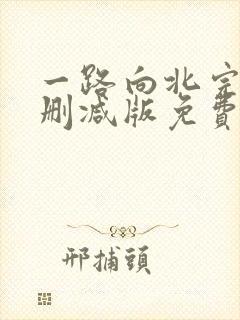 一路向北完整未删减版免费观看封面