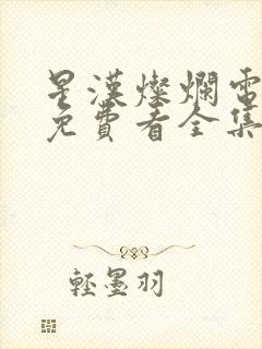 星汉灿烂电视剧免费看全集