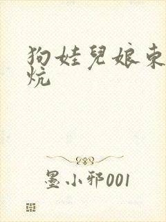 狗娃儿娘东北大炕