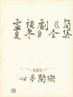 电视剧《简言的夏冬》全集免费观看