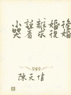 小说离婚后前夫哭着求复婚全文阅读