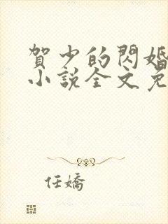 贺少的闪婚暖妻小说全文免费封面