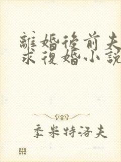 离婚后前夫哭着求复婚小说小说