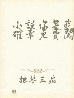 小说你是我的小确幸免费阅读