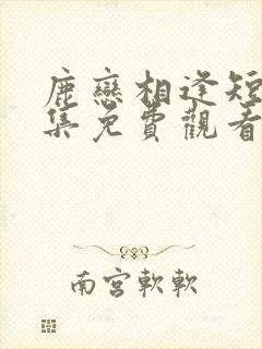 鹿恋相逢短剧全集免费观看