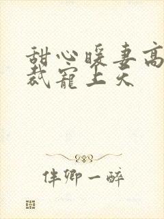 甜心暖妻高冷总裁宠上天