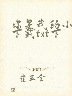 你是我的小确幸下载txt下