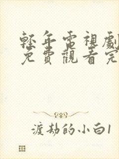 轻年电视剧全集免费观看完整版封面