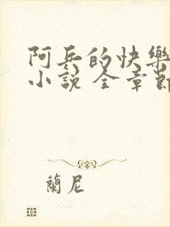 阿兵的快乐生活小说 全章节阅读免费