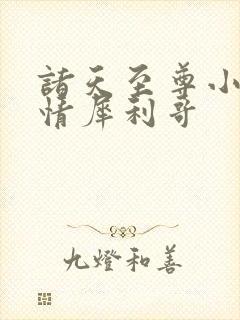 诸天至尊小说纯情犀利哥