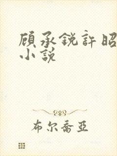 顾承锐许昭宁的小说封面