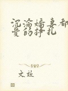 沉沦娇妻都市情爱的挣扎封面