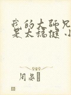 我的大师兄实在是太稳健 小说