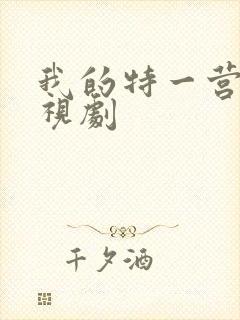 我的特一营 电视剧