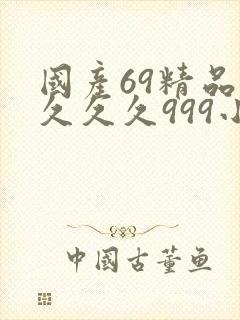 国产69精品久久久久999小说