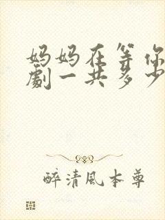 妈妈在等你电视剧一共多少集