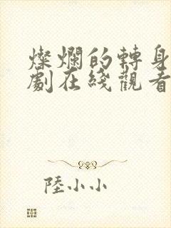 灿烂的转身电视剧在线观看免费完整版