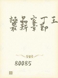 极品家丁王鹏篇最新章节