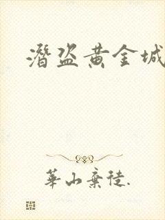 潜盗黄金城封面