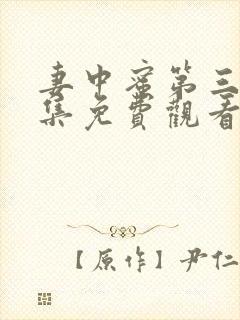 妻中蜜第三季全集免费观看封面