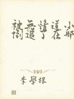 被无情道小师弟倒追了在哪里看封面