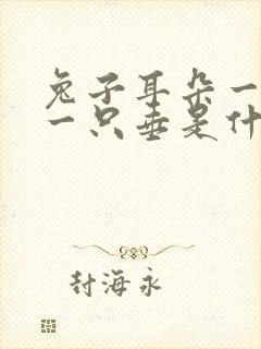 兔子耳朵一只立一只垂是什么原因封面