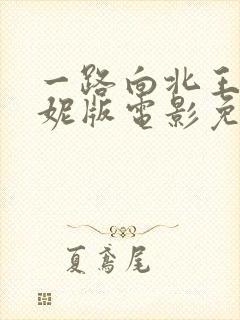 一路向北王李丹妮版电影免费观看封面