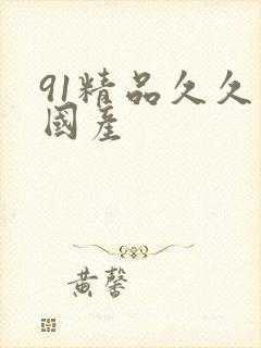 91精品久久久国产封面