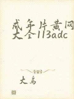 成年片黄网站色大全113adc封面