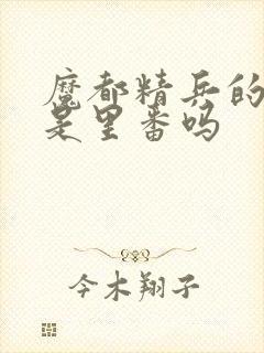 魔都精兵的奴隶是里番吗