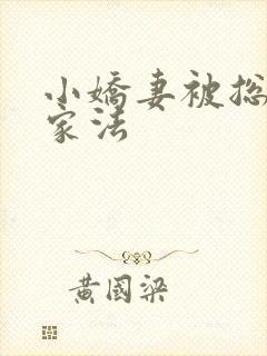 小娇妻被总裁罚家法