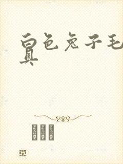 白色兔子毛绒玩具封面