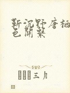靳沉野唐栖雾角色关系