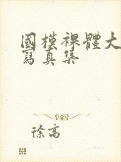 国模裸体大尺度写真集封面