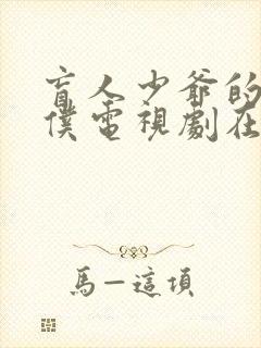 盲人少爷的小女仆电视剧在线观看免费