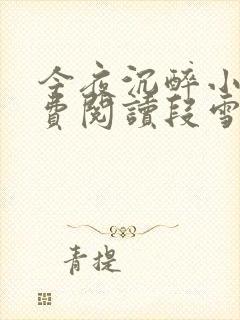 今夜沉醉小说免费阅读段雪娇林杰