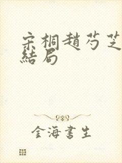 宋桐赵芍芝番外结局