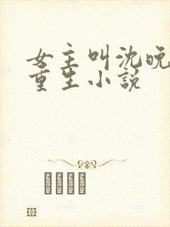 女主叫沈晚晚的重生小说