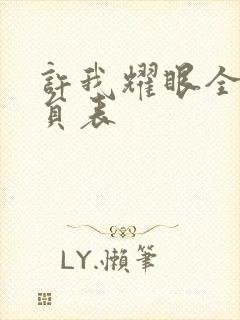 许我耀眼全部演员表封面