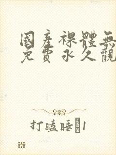 国产裸体无遮挡免费永久观看