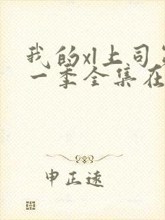 我的xl上司第一季全集在线观看完整版免费