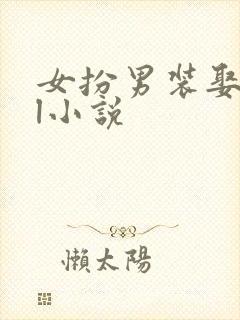 女扮男装娶妻gl小说封面