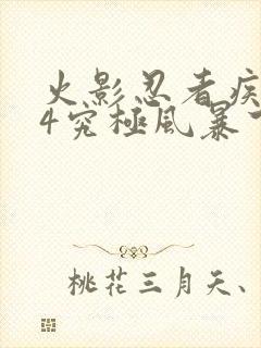 火影忍者疾风传4究极风暴下载